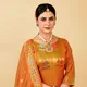 Orange__Royal Rajgharana Sarees